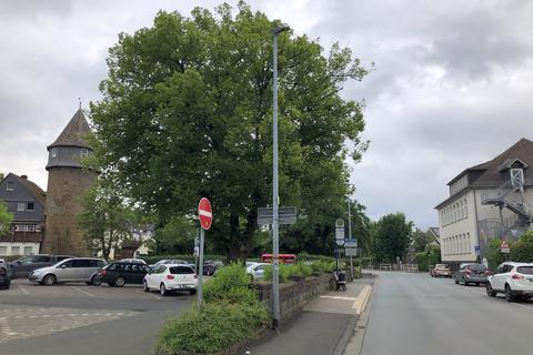Herborn Die Entscheidung zur Apothekerlinde fällt